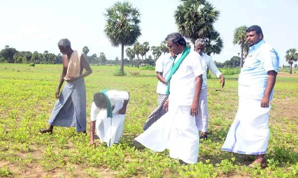 p r pandian